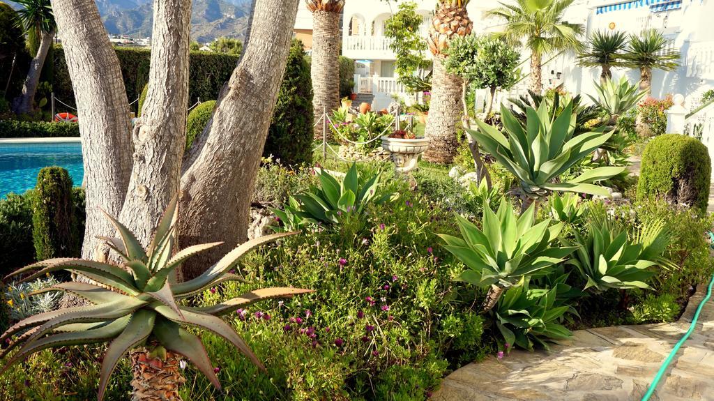 Apartamentos Starnerja En Stella Maris Cameră foto